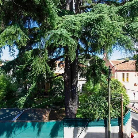 Atelier & Galerie カンヌ